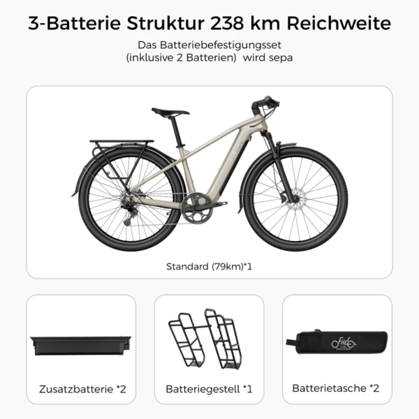 sternefahrrad.1-b787-5b4d1b7c46ab_800x Fiido Nomads Touring E-Bike