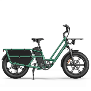sternenfahrrad_fond_blanc_1000x Fiido T2 E-Lastenrad: 200 kg Nutzlast, 136,26 km Reichweite