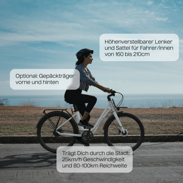 E-Bike-City-Classic-TWHEELS-5.png TWHEELS E-Bike City Classic – 26", Carbon-Riemenantrieb