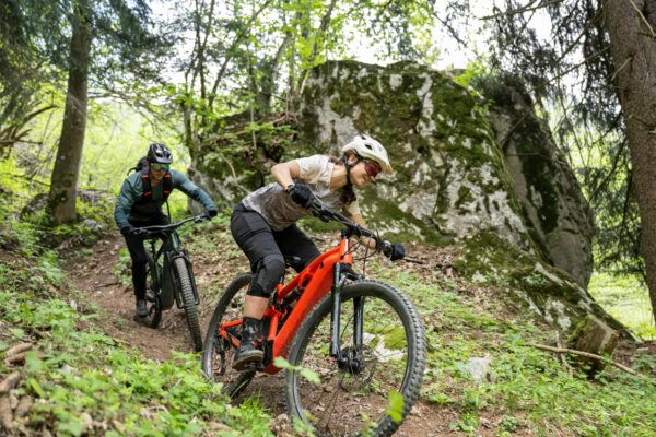 picture-117.jpg Rockrider E-Mountainbike E-EXPL 520 S – 29" Fully, Leuchtend Rot