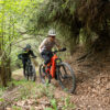 picture-119.jpg Rockrider E-Mountainbike E-EXPL 520 S – 29" Fully, Leuchtend Rot