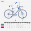 picture-125.jpg Van Rysel E-Rennvelo E-EDR CF – Shimano 105 Di2 2x12, Grün