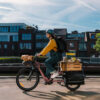 picture-31.jpg Btwin Elektro-Longtail-Cargobike E-THREE 500 – Rosa Taupe