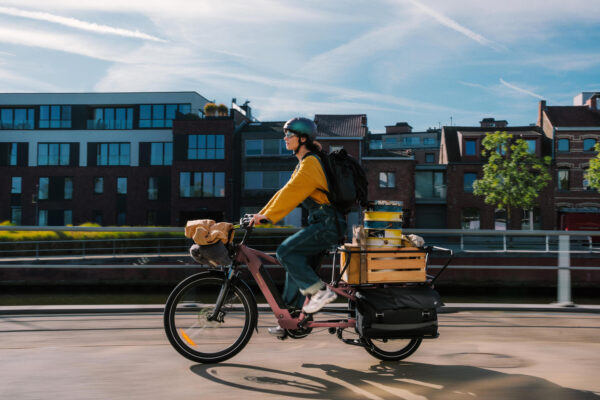 picture-31.jpg Btwin Elektro-Longtail-Cargobike E-THREE 500 – Rosa Taupe