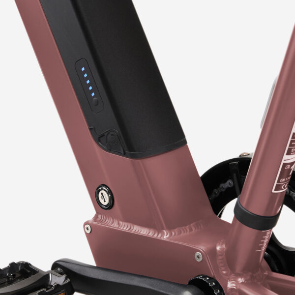 picture-37.jpg Btwin Elektro-Longtail-Cargobike E-THREE 500 – Rosa Taupe