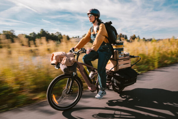 picture-44.jpg Btwin Elektro-Longtail-Cargobike E-THREE 500 – Rosa Taupe