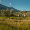 picture-54.jpg Rockrider E-Bike SUV Trekking E-ACTV 500 LF – niedriger Einstieg, Yamaha, Beige