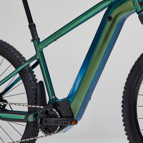 Rockrider E-Mountainbike E-EXPL 700 – 29" Hardtail, Flaschengrün