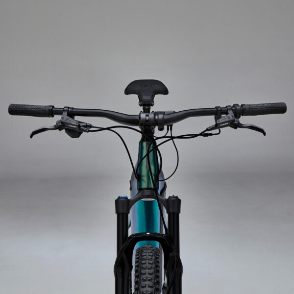 Rockrider E-Mountainbike E-EXPL 700 – 29" Hardtail, Flaschengrün