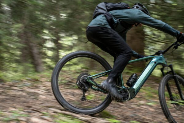 Rockrider E-Mountainbike E-EXPL 700 – 29" Hardtail, Flaschengrün