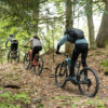 Rockrider E-Mountainbike E-EXPL 700 – 29" Hardtail, Flaschengrün