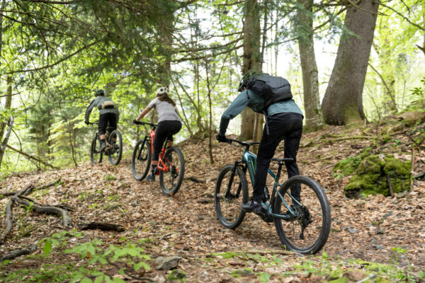 Rockrider E-Mountainbike E-EXPL 700 – 29" Hardtail, Flaschengrün
